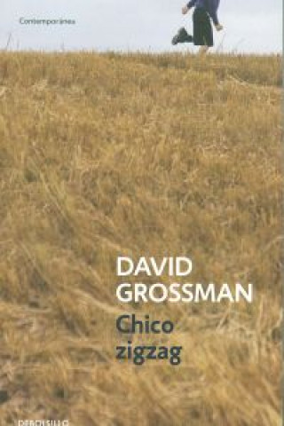 Kniha Chico zigzag DAVID GROSSMAN