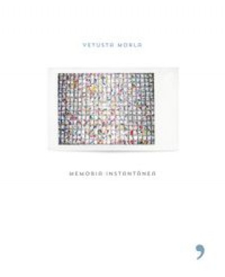Buch Memoria instantánea VETUSTA MORLA