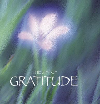 Kniha The Gift of Gratitude (Quotes) Ben Alex