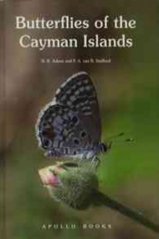 Carte Butterflies of the Cayman Islands Askew
