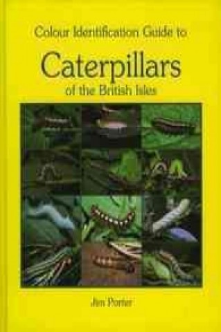 Knjiga Colour Identification Guide to Caterpillars of the British Isles. Macrolepidoptera Jim Porter