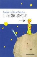 Könyv Il Piccolo Principe Antoine de Saint Exupéry