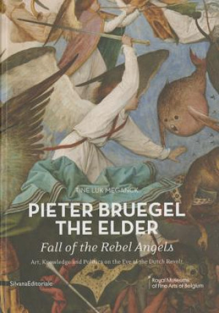 Kniha Pieter Bruegel the Elder: Fall of the Rebel Angels Michel Draguet