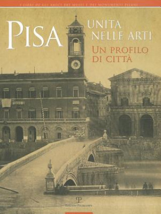 Livre Pisa Unita Nelle Arti: Un Profilo Di Citta Stefano Bruni