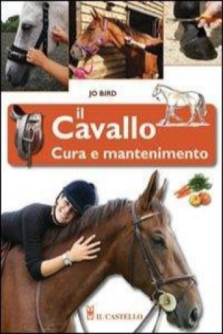 Knjiga Il cavallo. Cura e mantenimento Jo Bird