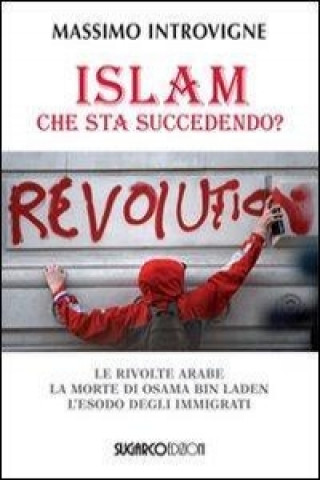 Kniha Islam. Che sta succedendo? Le rivolte arabe. La morte di Osama Bin Laden. L'esodo degli immigrati Massimo Introvigne