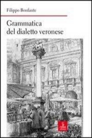 Libro Grammatica del dialetto veronese Filippo Bonfante