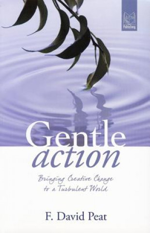 Kniha Gentle Action: Bringing Creative Change to a Turbulent World F. David Peat