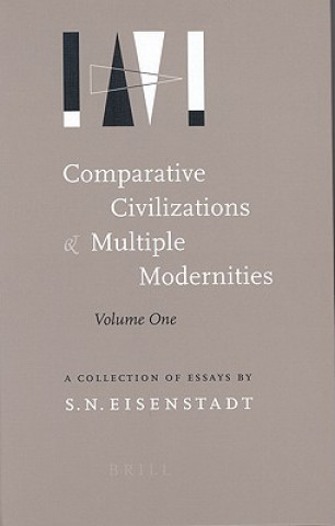 Carte Comparative Civilizations and Multiple Modernities (2 Vols): A Collection of Essays S. N. Eisenstadt