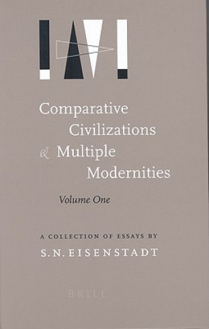 Kniha Comparative Civilizations and Multiple Modernities (2 Vols): A Collection of Essays S. N. Eisenstadt