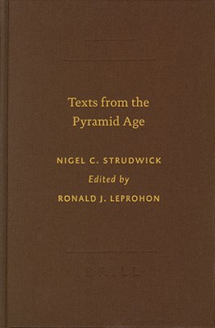 Libro Texts from the Pyramid Age Nigel Strudwick