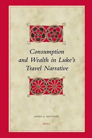 Könyv Consumption and Wealth in Luke's Travel Narrative James A. Metzger