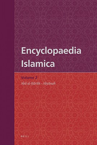 Könyv Encyclopaedia Islamica Volume 2: AB Al- Rith - Aby Nah Farhad Daftary