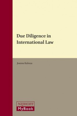 Könyv Due Diligence in International Law Joanna Kulesza