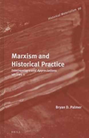 Könyv Marxism and Historical Practice (Vol. II): Interventions and Appreciations. Volume II Bryan D. Palmer