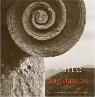 Kniha (In)Site Sagalassos B. Vandermeulen