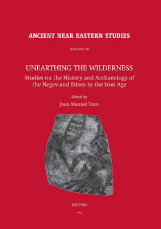 Książka Unearthing the Wilderness: Studies on the History and Archaeology of the Negev and Edom in the Iron Age Jm Tebes