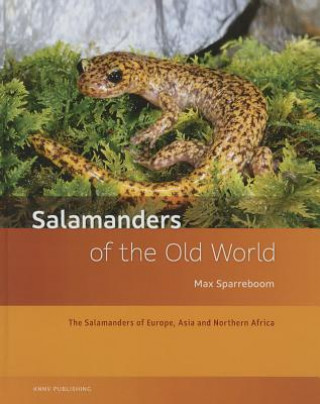 Könyv Salamanders of the Old World Max Sparreboom