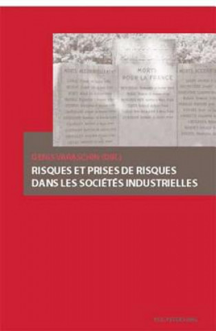 Kniha Risques Et Prises de Risques Dans Les Societes Industrielles Denis Varaschin