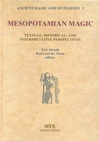 Kniha Mesopotamian Magic: Textual, Historical and Interpretative Perspectives V. A. Brumberg