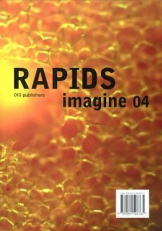 Książka Imagine No. 04: Rapids Suzy Klein