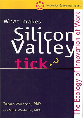 Kniha What Makes Silicon Valley Tick? Tapan Munroe