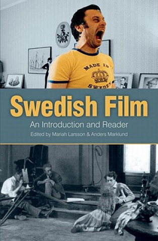Kniha Swedish Film Mariah Larsson