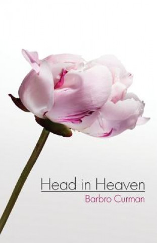 Kniha Head in Heaven Barbro Curman