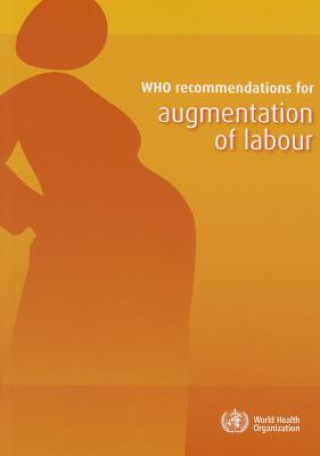 Könyv Who Recommendations for Augmentation of Labour World Health Organization