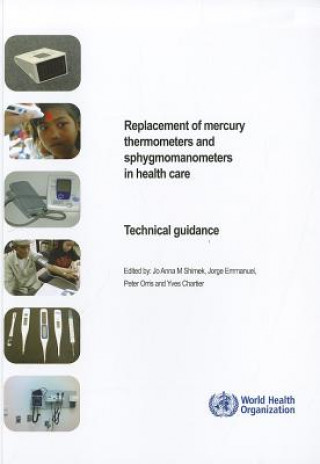 Carte Replacement of Mercury Thermometers and Sphygmomanometers in Health Care: Technical Guidance Jo Anna M. Shimek