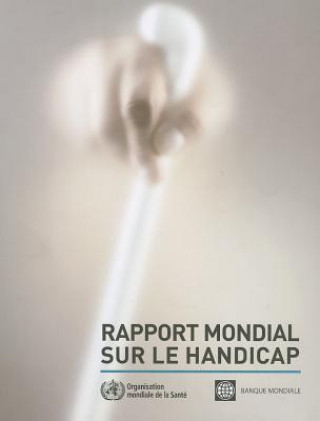 Carte Rapport Mondial Sur Le Handicap 2011 World Health Organization