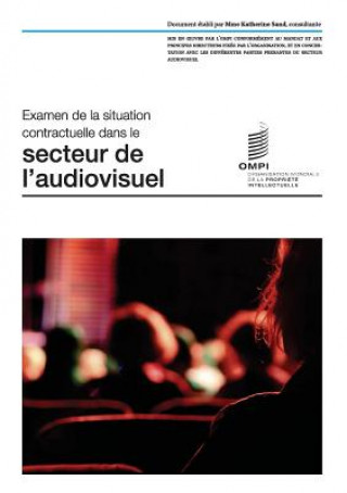 Kniha Examen de la situation contractuelle dans le secteur de l'audiovisuel Katherine Sand