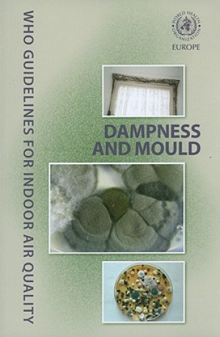 Książka WHO Guidelines for Indoor Air Quality: Dampness and Mould World Health Organization