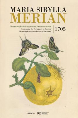 Kniha Metamorphosis Insectorum Surinamensium Merian