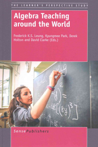 Kniha Algebra Teaching around the World Derek Holton
