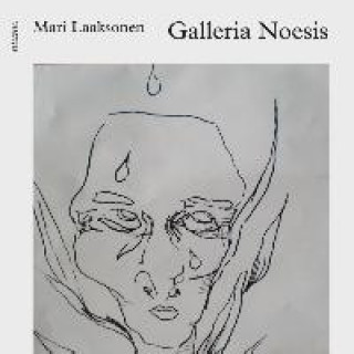 Livre Galleria Noesis Mari Laaksonen