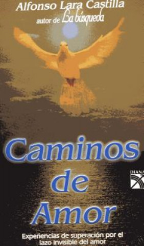 Kniha Caminos de Amor Lara Castilla