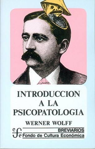 Buch Introduccion a la Psicopatologia 