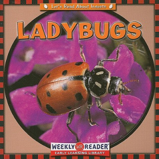 Knjiga Ladybugs Susan Ashley