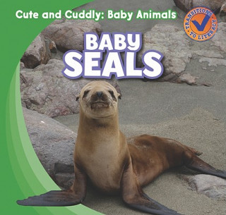 Książka Baby Seals Katie Kawa