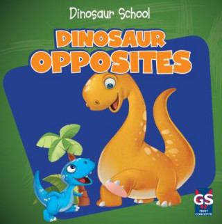 Boek Dinosaur Opposites Ava Saviola
