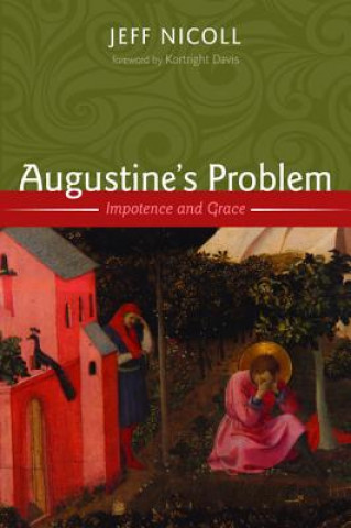Book Augustine's Problem Jeff Nicoll