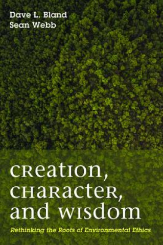 Book Creation, Character, and Wisdom Dave Bland