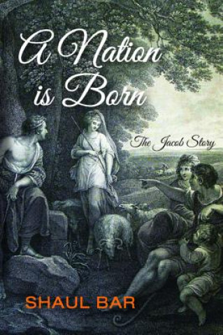 Книга Nation Is Born Shaul Bar