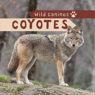 Knjiga Coyotes Harper Avett