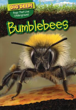 Knjiga Bumblebees Omar Stone