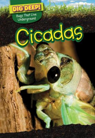 Knjiga Cicadas Linda Buellis