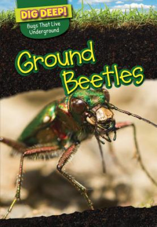 Knjiga Ground Beetles Erin Long