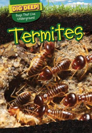 Kniha Termites Liz Chung