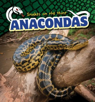 Knjiga Anacondas Sebastian Avery